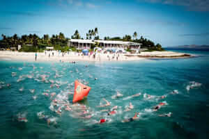2023斐济海洋游泳节